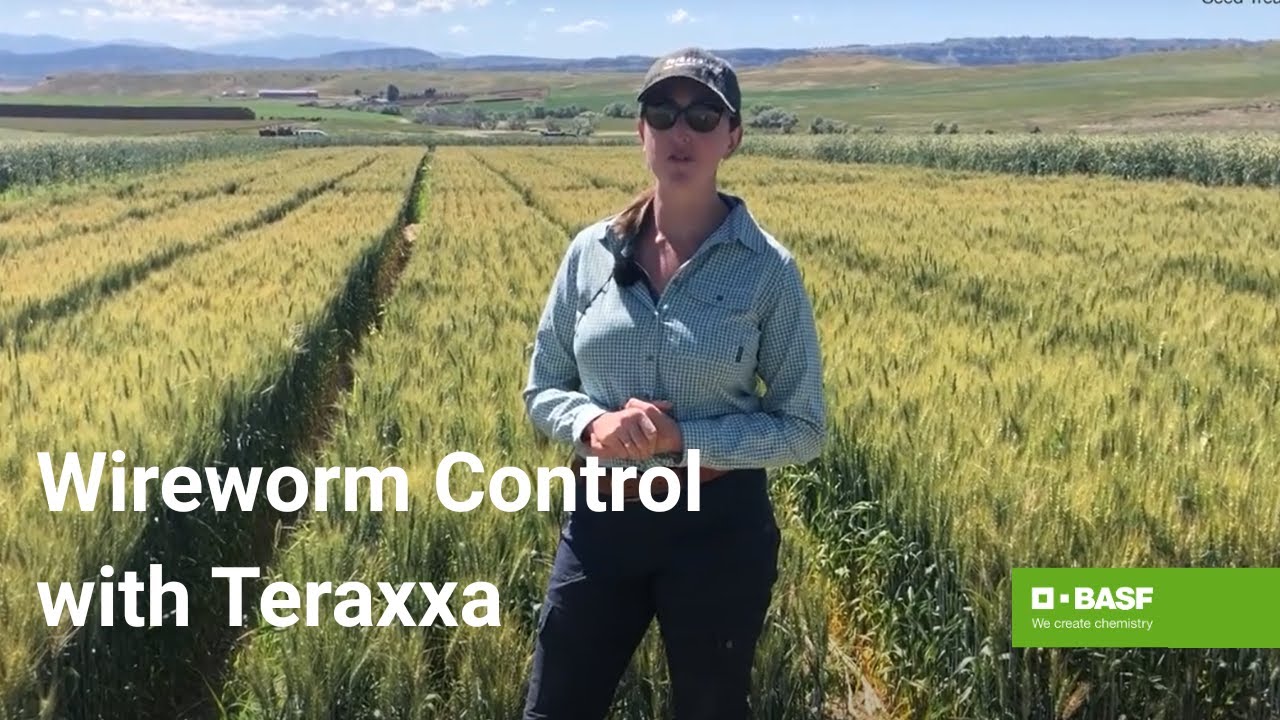 Reddy Anna ID: Comprehensive Guide to Its Features, Benefits, and Community Impact